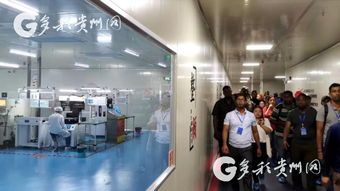 多彩貴州網(wǎng) 21國發(fā)展中國學(xué)員貴州“取經(jīng)” 聚焦計(jì)算機(jī)信息技術(shù)研發(fā)新動(dòng)態(tài)